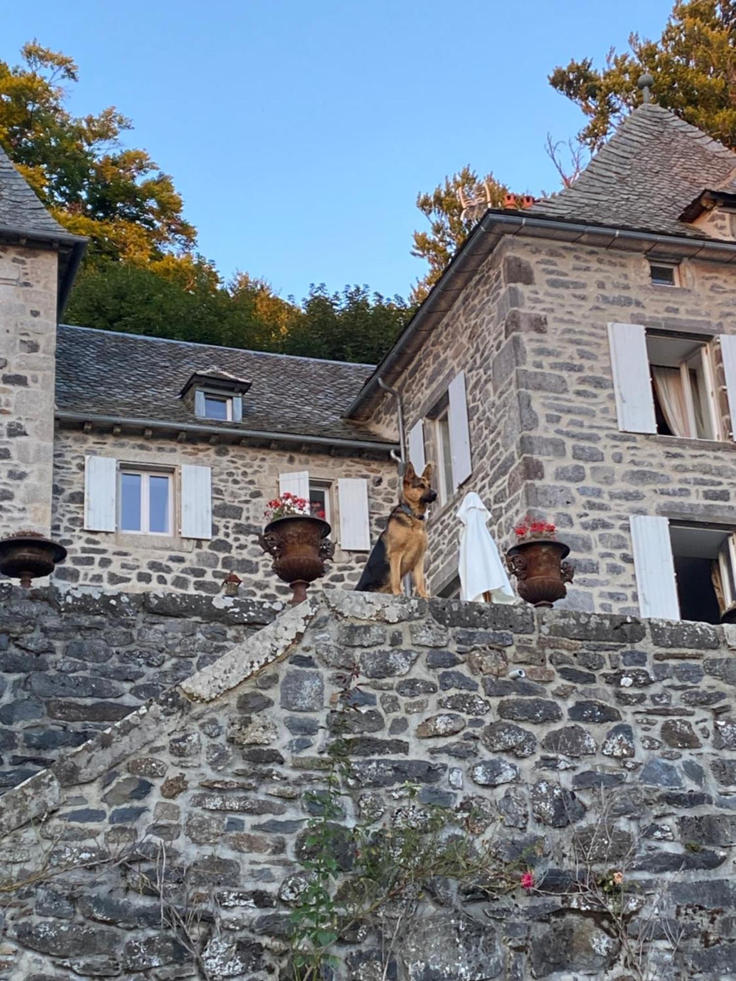 Chateau Du Puech Curieres Luaran gambar